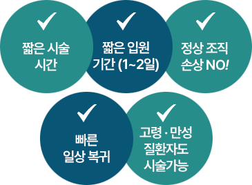 짧은 시술 기간 / 짧은 입원 기간(1~2일) / 정상 조직 손상 NO! / 빠른 일상 복귀 / 고령 · 만성질환자도 시술가능