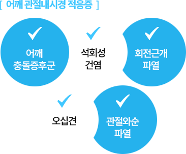 [어깨 관절내시경 적응증] 어깨 충돌증후군 / 석회성 건염 / 회전근개 파열 / 오십견 /  관절와순 파열